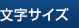 文字サイズ